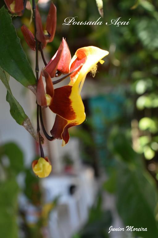 Pousada Acai Araquari Exterior foto